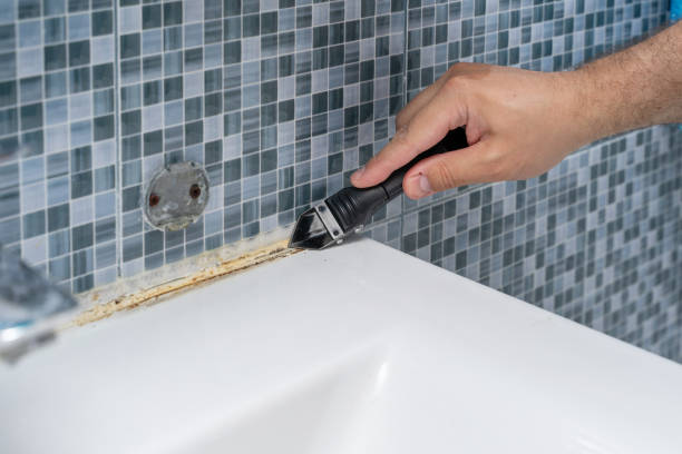 Best Black Mold Removal  in Indian Shores, FL